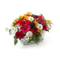 Cesto con rose rosse gerbere margherite bianche 