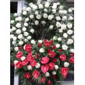 Great funeral wreath of white roses and anthurium red