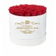 ROSES SPECIAL BOX bianco