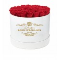 ROSES SPECIAL BOX bianco