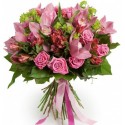 Mia favola rosa..