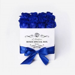 Box special blu  love