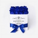 Box special blu  love