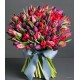 Gran Luxury Tulipani mix 
