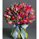 Gran Luxury Tulipani mix 
