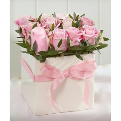Rose rosa in box