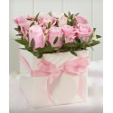 Rose rosa in box