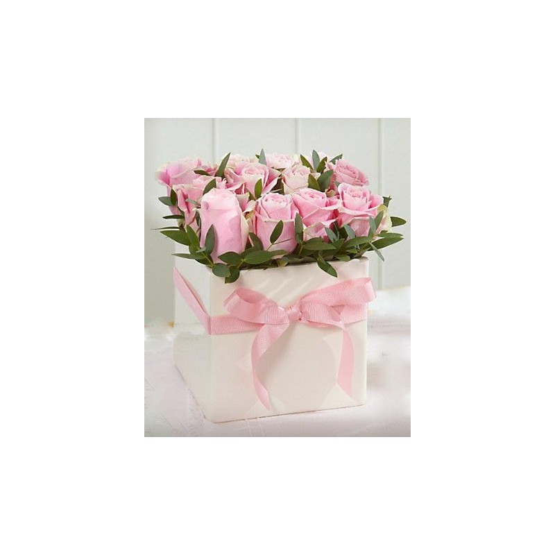Rose rosa in box