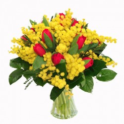  Bouquet di  tulipani rossi e  mimosa in verde complementare