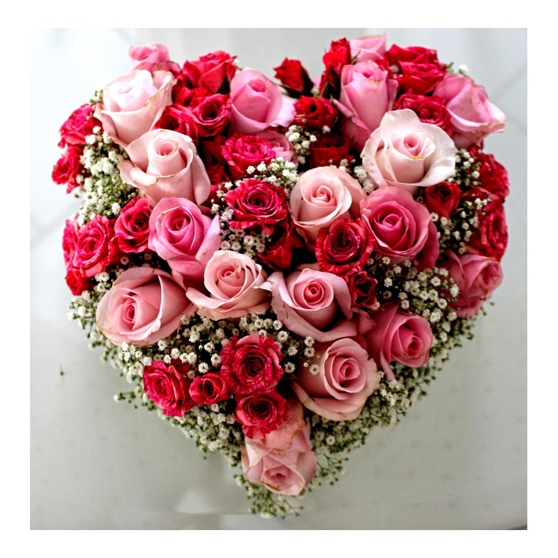 Cuore mix rose 