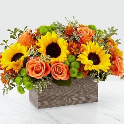 Composizione girasoli  rose e margherite