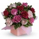 Box rose