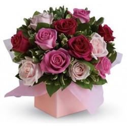 Box rose