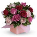 Box rose