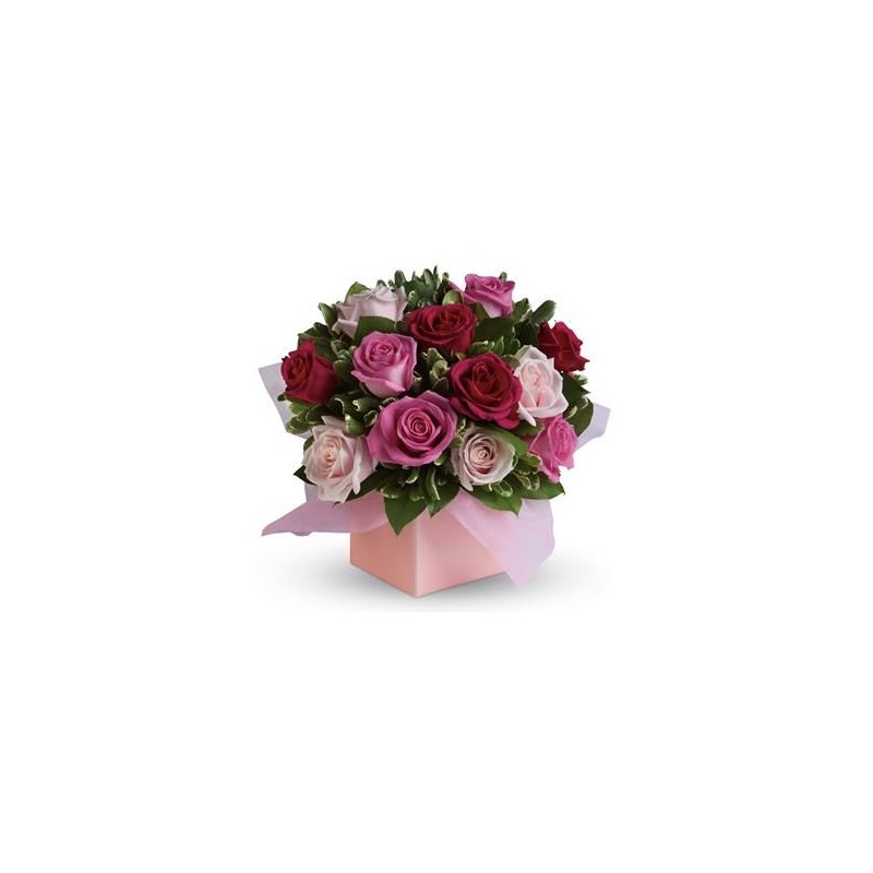 Box rose