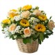 Girasoli e rose in cesto
