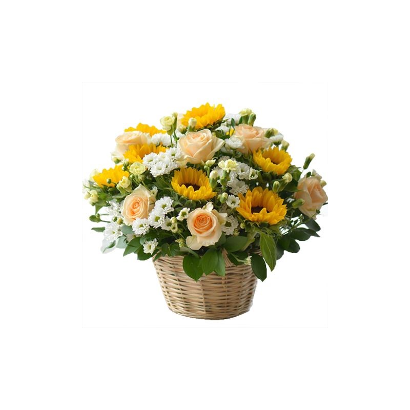 Girasoli e rose in cesto