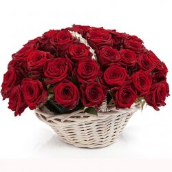 Solo Per Te rose rosse e chissà...