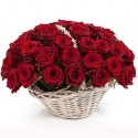 Solo Per Te rose rosse e chissà...