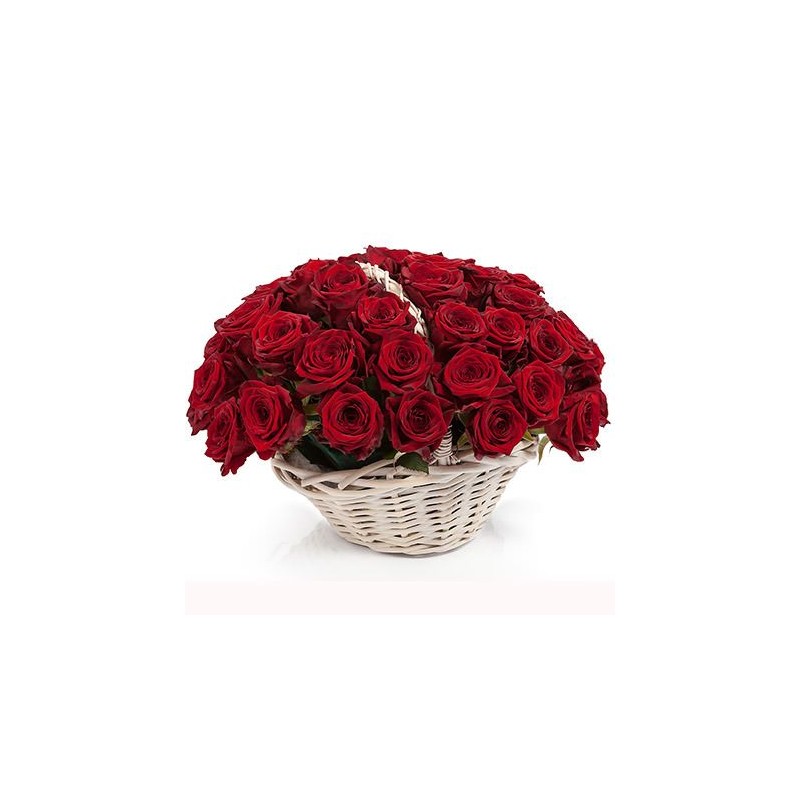 Solo Per Te rose rosse e chissà...