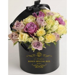 Box in love