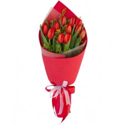 Dodici per Te 