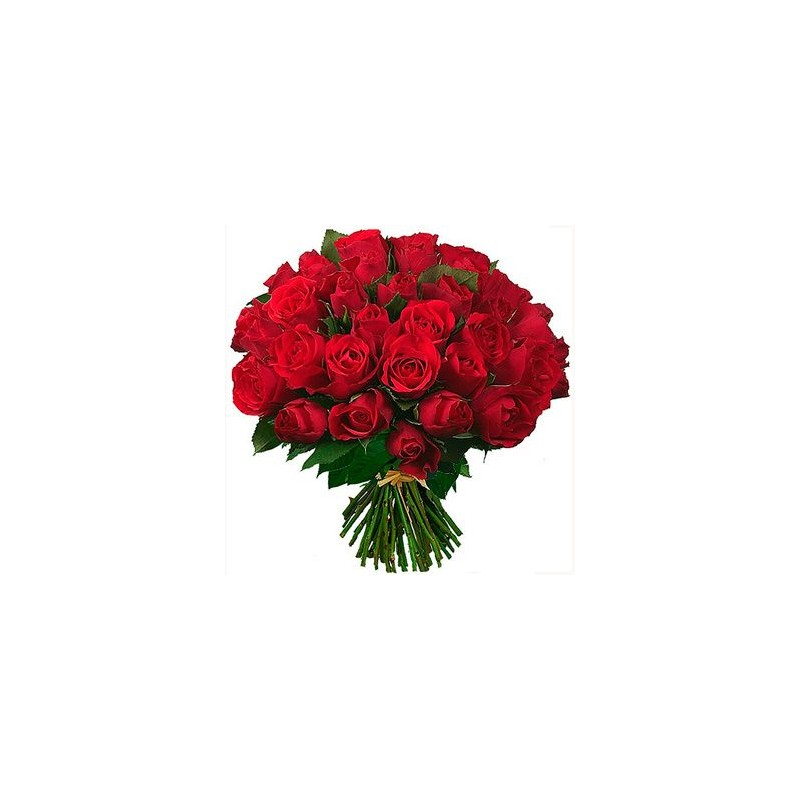 Rose Rosse per te...