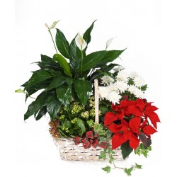 I migliori auguri di Natale