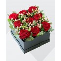 Rosse in box