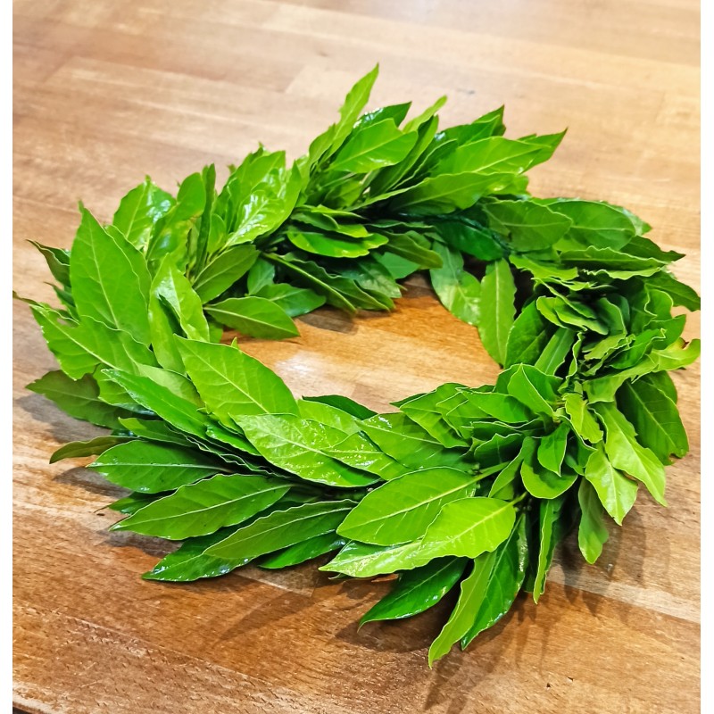 Corona alloro