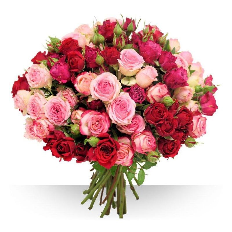 Rondò di rose