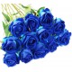 Occhi Blu