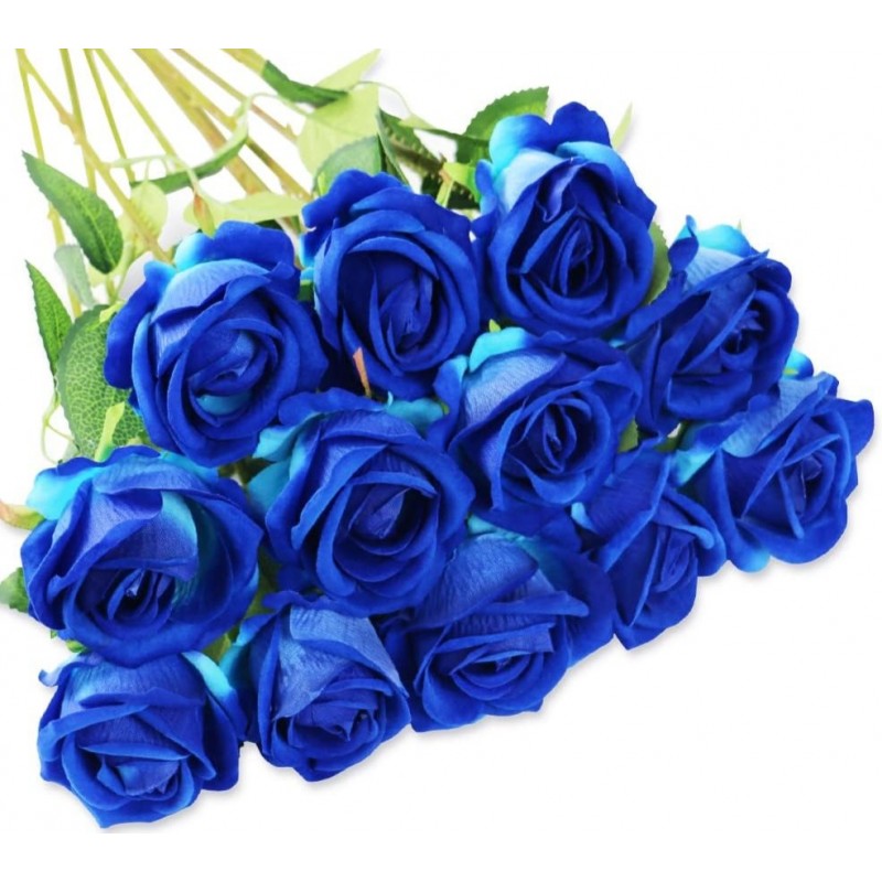 Occhi Blu