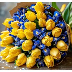 Mimosa7-   Bouquet tulipani e mimosa