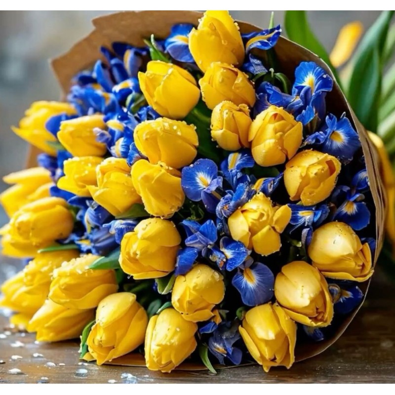 Mimosa7 - Bouquet solar