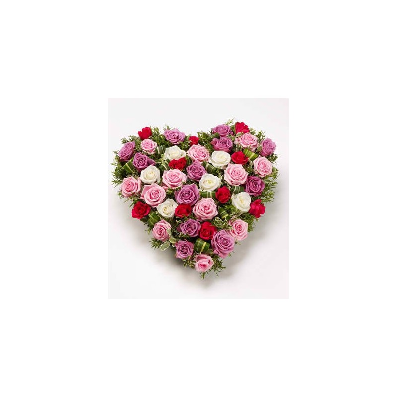 moyen cœur de la rose rouge,rose,blanc et fuschia