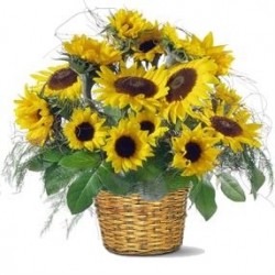 Cesto con girasoli