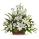 Cesto  funebre di fiori bianchi