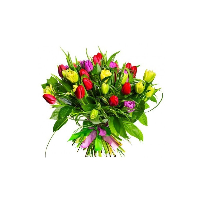 Dar el regalo de los Tulipanes , los tulipanes para su declaración de amor.