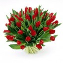 Un gran Ramo de tulipanes rojos