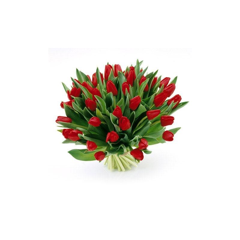 Dar Tulipanes para su declaración de amor.