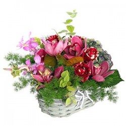 Cesto con orchidee e rose rosse