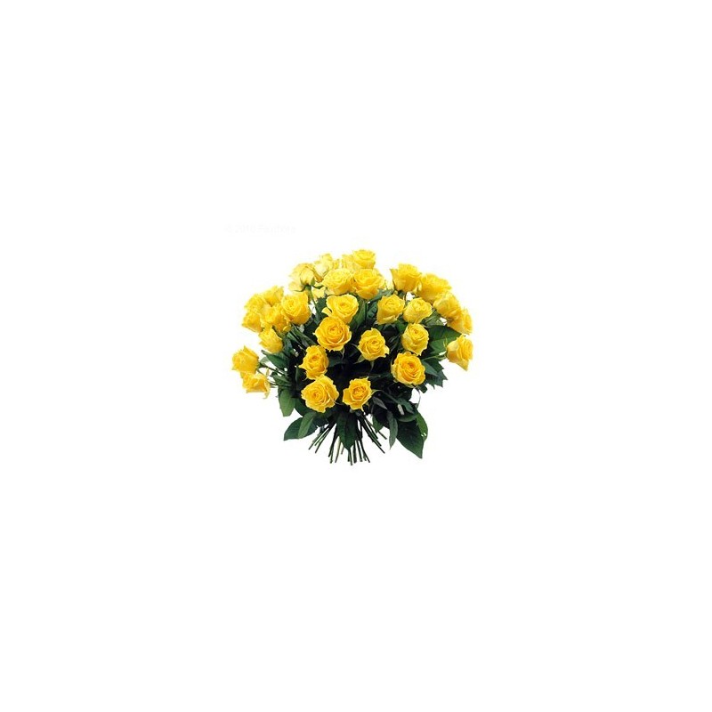 Bouquet de roses jaunes jaune