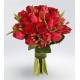 Bouquet of tulips and iris blue