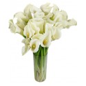 Eleganza in Bianco