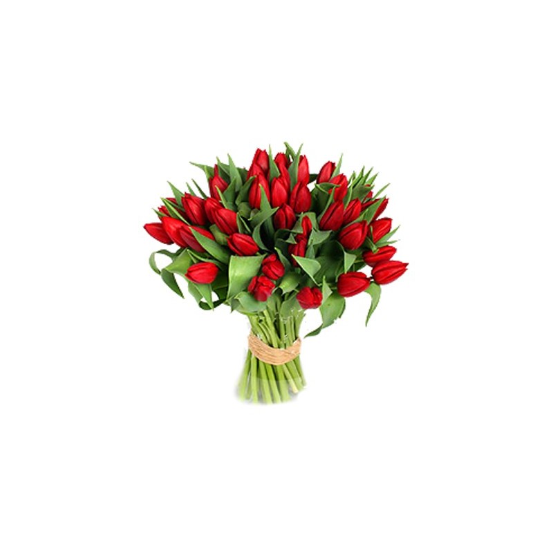 Tulipani  ,romantica  dichiarazione d'amore.