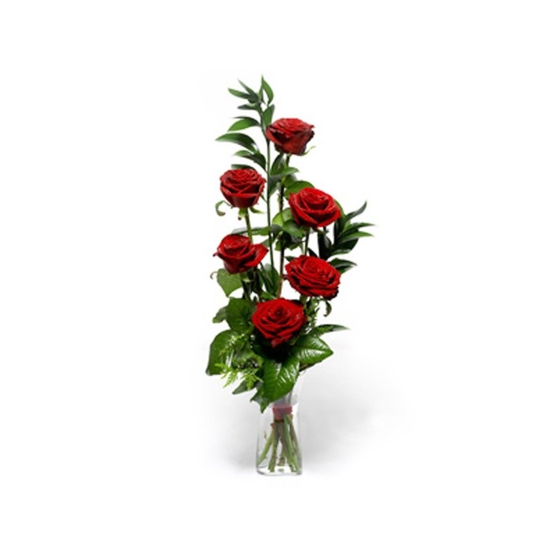 6 Rosas rojas en la casilla 