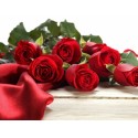 7 Rose rosse in confezione 