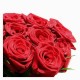 15 rosas rojas en la casilla