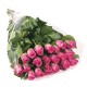 1 Pink rosa